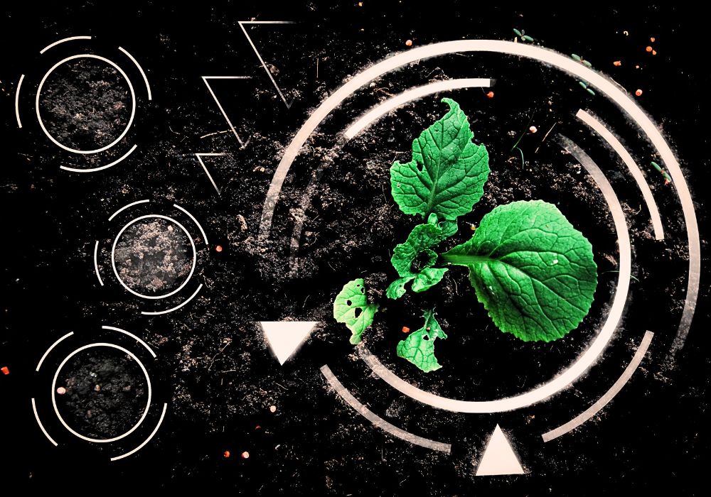 Smart-Farming